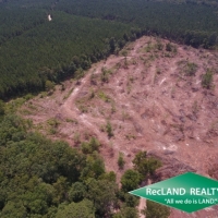36 ac - Clear Cut Timberland images 4