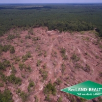 36 ac - Clear Cut Timberland images 5