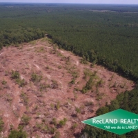 36 ac - Clear Cut Timberland images 6