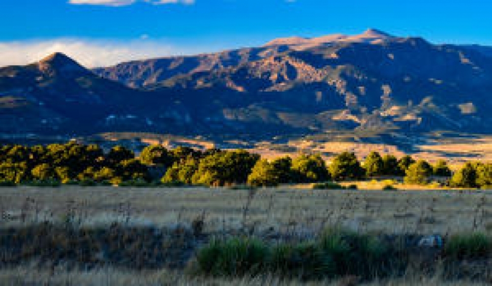 Majors Ranch 34 featured image