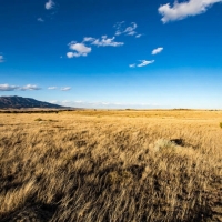 Majors Ranch 34 images 4