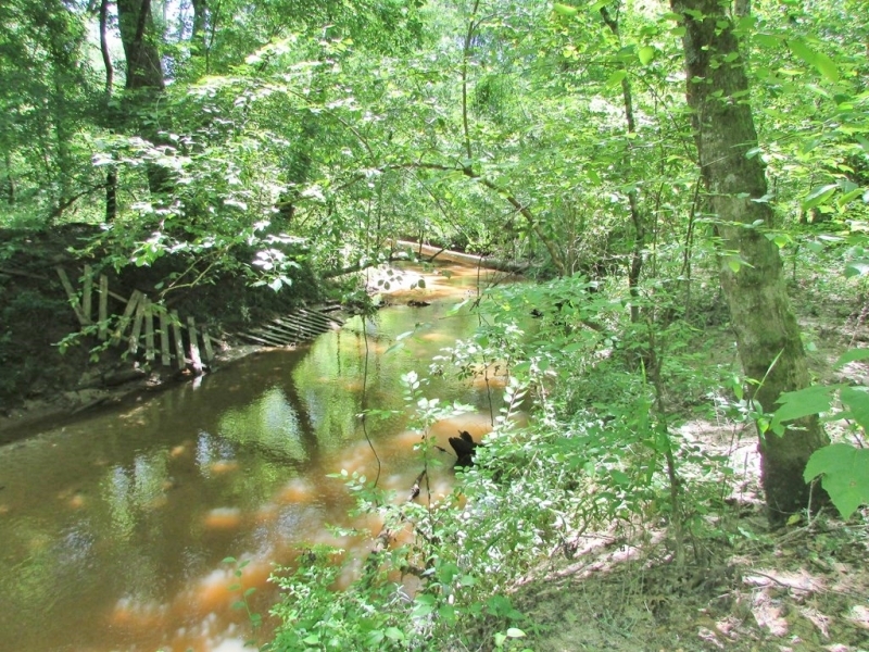 247 Acres Timberland  Recreation Land for Sale Kemper Co MS featured image