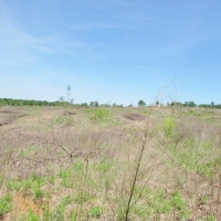 247 Acres Timberland  Recreation Land for Sale Kemper Co MS images 2