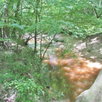 247 Acres Timberland  Recreation Land for Sale Kemper Co MS images 4