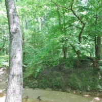 247 Acres Timberland  Recreation Land for Sale Kemper Co MS images 5