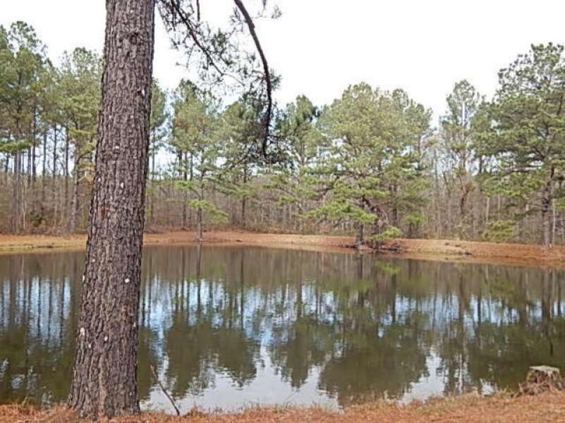 109.5 Acres in Rankin County at Springwater Ranch in Brandon  MS featured image