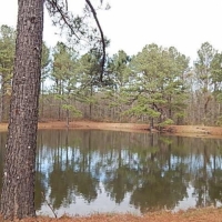 109.5 Acres in Rankin County at Springwater Ranch in Brandon  MS