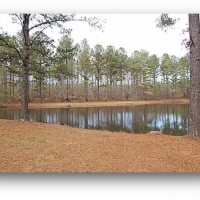 109.5 Acres in Rankin County at Springwater Ranch in Brandon  MS images 4