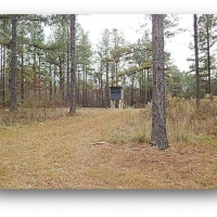 109.5 Acres in Rankin County at Springwater Ranch in Brandon  MS images 6