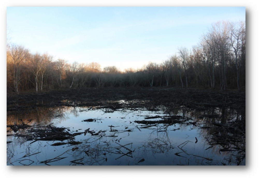 95.6 Acres in Issaquena County in Rolling Fork  MS featured image