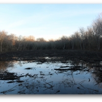 95.6 Acres in Issaquena County in Rolling Fork  MS