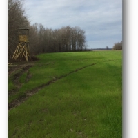95.6 Acres in Issaquena County in Rolling Fork  MS images 2