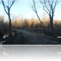 95.6 Acres in Issaquena County in Rolling Fork  MS images 4