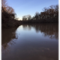 95.6 Acres in Issaquena County in Rolling Fork  MS images 5