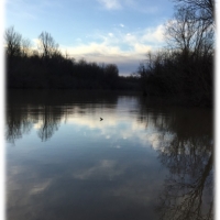 95.6 Acres in Issaquena County in Rolling Fork  MS images 6