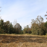 242.5 Acres in Montgomery County in Winona  MS images 2