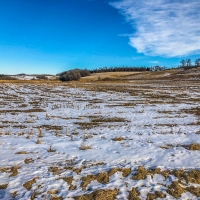52  - Acres Trempealeau County  WI images 4
