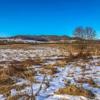 52  - Acres Trempealeau County  WI images 5