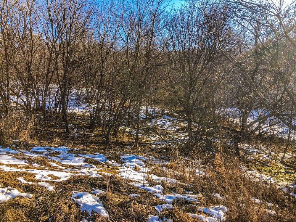 52  - Acres Trempealeau County  WI featured image