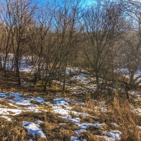 52  - Acres Trempealeau County  WI