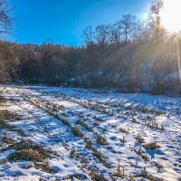 52  - Acres Trempealeau County  WI images 3