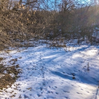 52  - Acres Trempealeau County  WI images 6