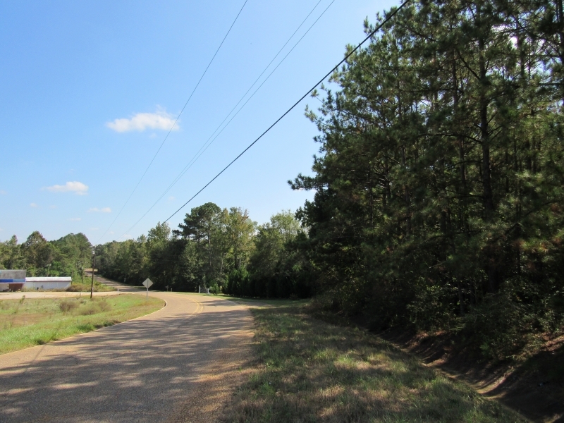 Hwy 98 and Dogwood Trail featured image