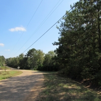 Hwy 98 and Dogwood Trail