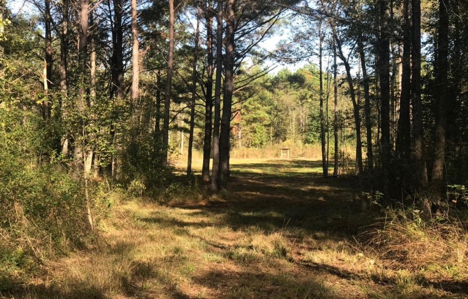 132 Acres in Copiah County in Hermanville MS Hunting Land for Sale