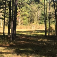 132 Acres in Copiah County in Hermanville  MS images 2