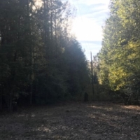 132 Acres in Copiah County in Hermanville  MS images 6