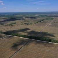 Sunray Farms images 2