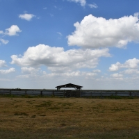 Sunray Farms images 4