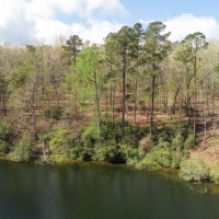 Spring Hill West images 3