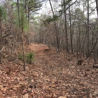 Coldwater Mountain Timber Property images 2