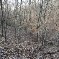 Coldwater Mountain Timber Property images 4