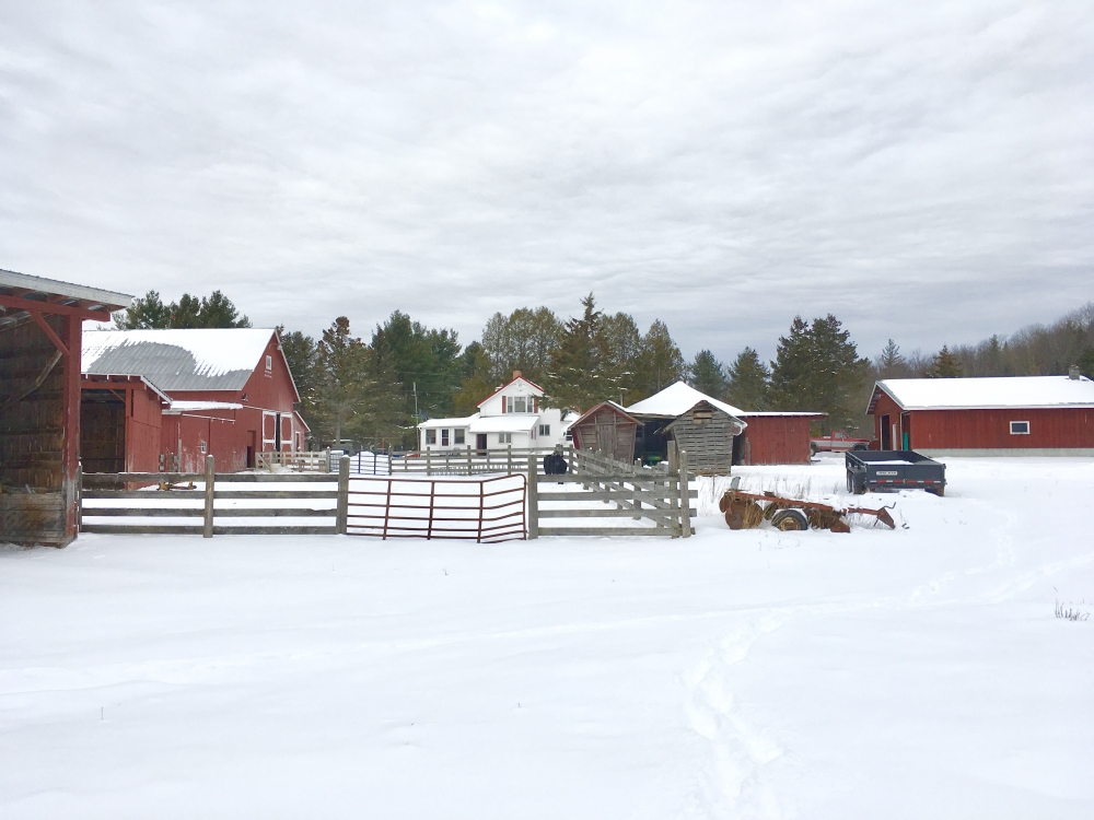 25 Acres Adirondack Hobby Farm St Lawrence County featured image