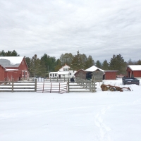 25 Acres Adirondack Hobby Farm St Lawrence County