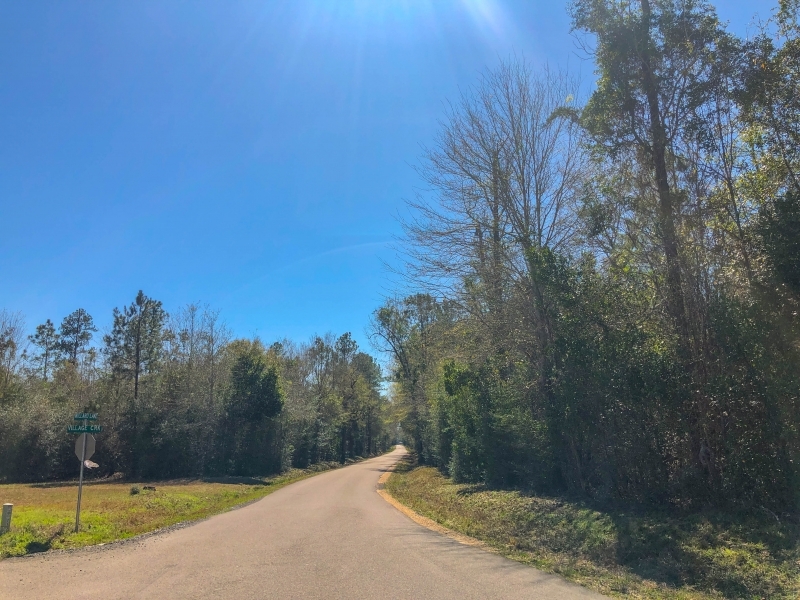 30 Acres &nbsp; Village Creek featured image