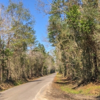 30 Acres &nbsp; Village Creek images 2