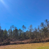 30 Acres &nbsp; Village Creek images 3