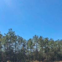 30 Acres &nbsp; Village Creek images 4