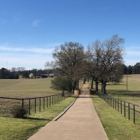 Turnkey Cattle &nbsp; Horse Ranch For Sale in Marion County  TX images 2