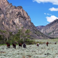 Hunting and Fishing Property  Surrounded by National Forest