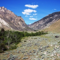 Hunting and Fishing Property  Surrounded by National Forest images 5