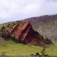 Hunting and Fishing Property  Surrounded by National Forest images 6
