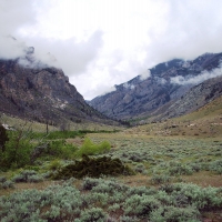 Hunting and Fishing Property  Surrounded by National Forest images 3