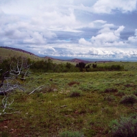 Hunting and Fishing Property  Surrounded by National Forest images 2