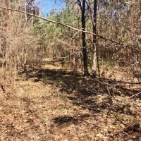 Mobile Home  24 Acres Land for Sale Lincoln County MS images 2