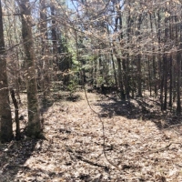 Mobile Home  24 Acres Land for Sale Lincoln County MS images 3